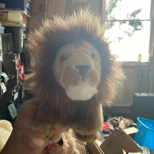 Lion for kids